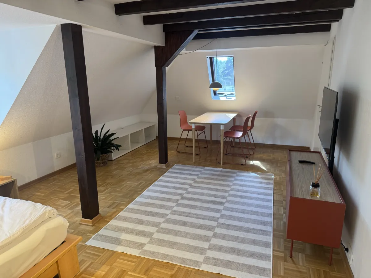 Living area with dining table and television