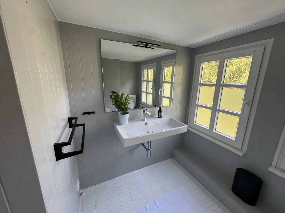 Bathroom vanity with mirror and garden windows