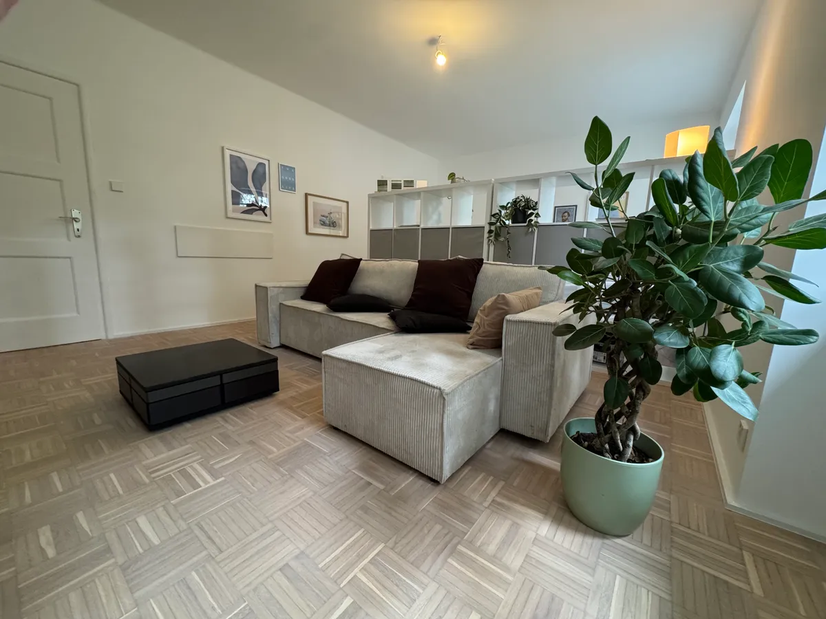 Sofa corner with cushions and potted fig tree