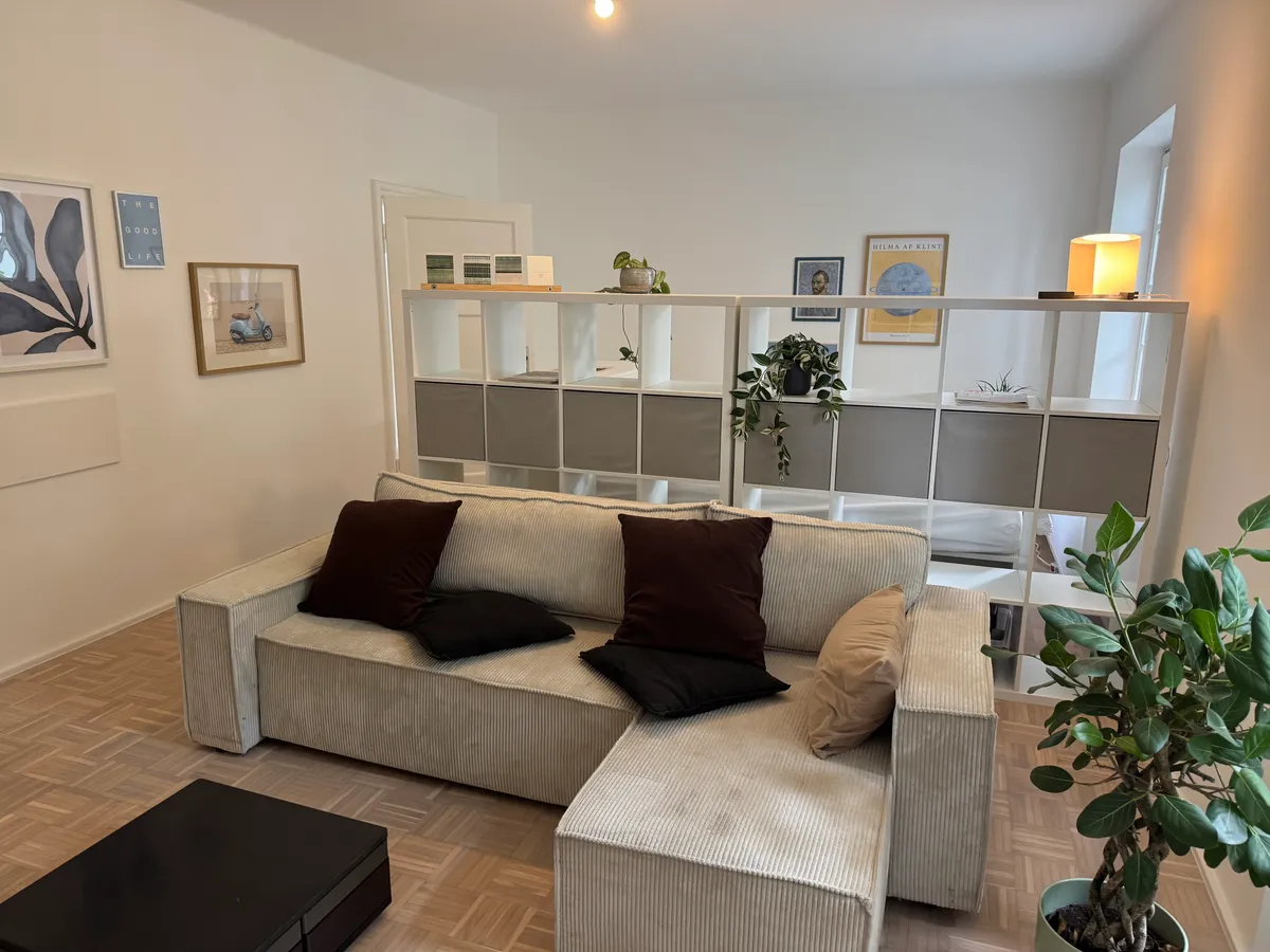 Corner sofa with room-divider shelving and houseplants